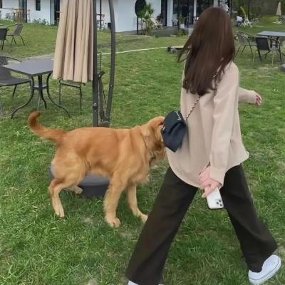 罪嫁